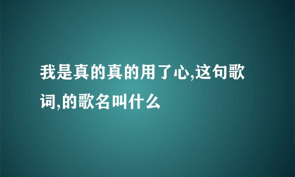 我是真的真的用了心,这句歌词,的歌名叫什么