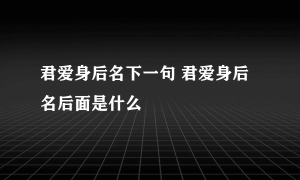 君爱身后名下一句 君爱身后名后面是什么