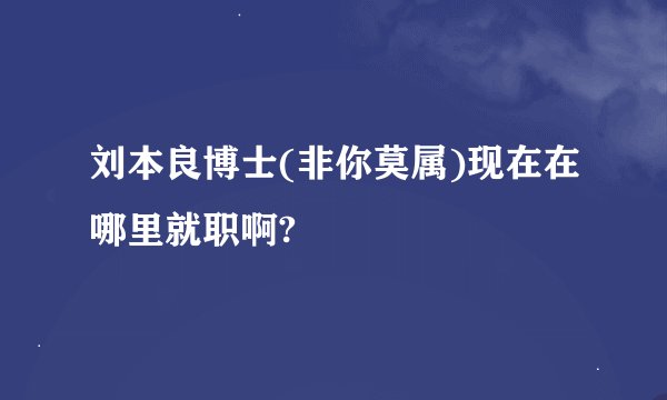 刘本良博士(非你莫属)现在在哪里就职啊?