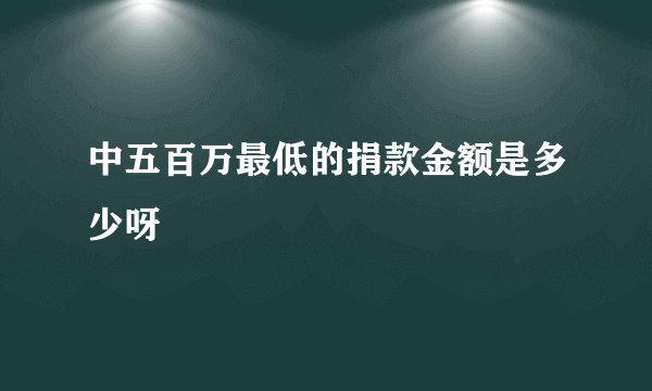 中五百万最低的捐款金额是多少呀