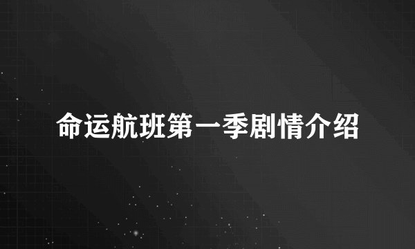 命运航班第一季剧情介绍