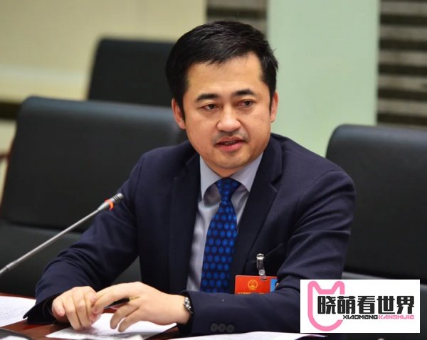 安踏疯了,股价连涨9年,涨幅超25倍,利润超过阿迪达斯