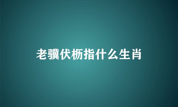 老骥伏枥指什么生肖