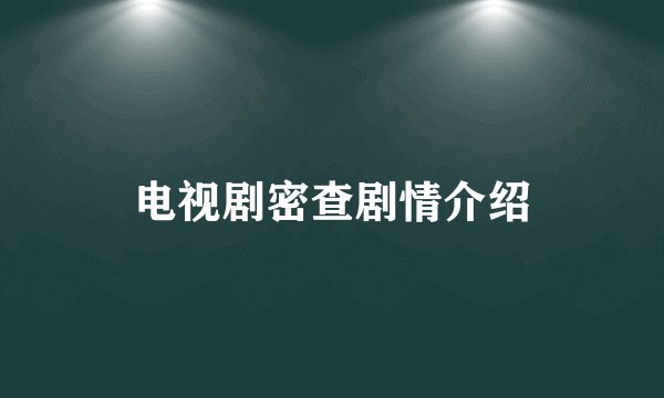 电视剧密查剧情介绍