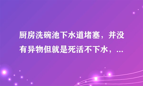 厨房洗碗池下水道堵塞，并没有异物但就是死活不下水，倒进去水都从厨房排水口翻出来。