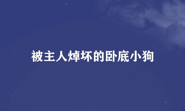 被主人焯坏的卧底小狗