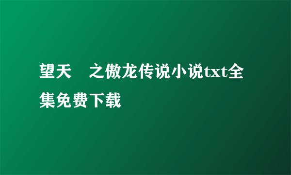 望天犼之傲龙传说小说txt全集免费下载