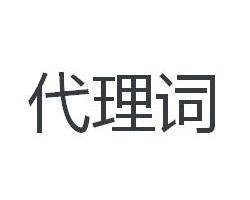 代理词的格式范本