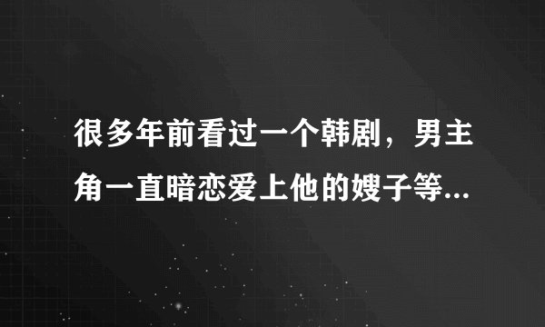 很多年前看过一个韩剧，男主角一直暗恋爱上他的嫂子等等，不知道电视剧是什么名字