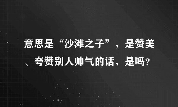意思是“沙滩之子”，是赞美、夸赞别人帅气的话，是吗？