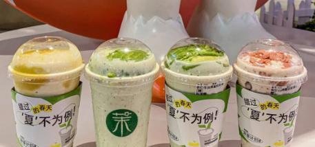 茉酸奶加盟：茉酸奶加盟费用是多少？（2023最新）费用标准公布！