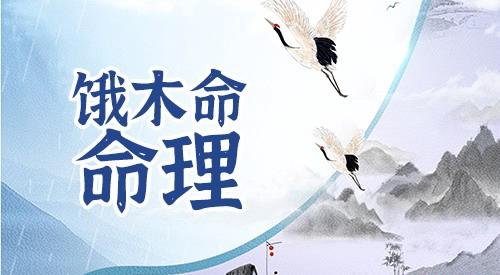 饿木命人怎么补木
