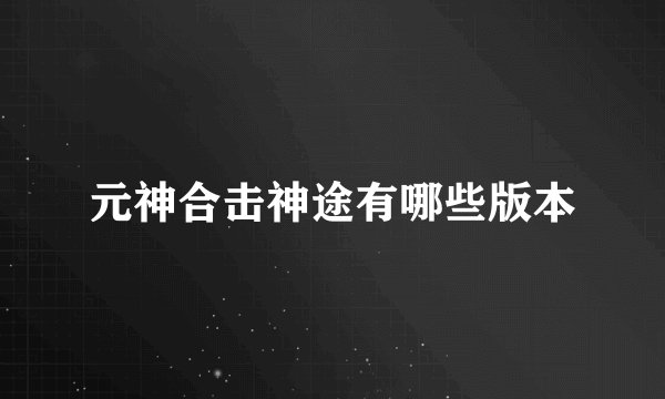 元神合击神途有哪些版本