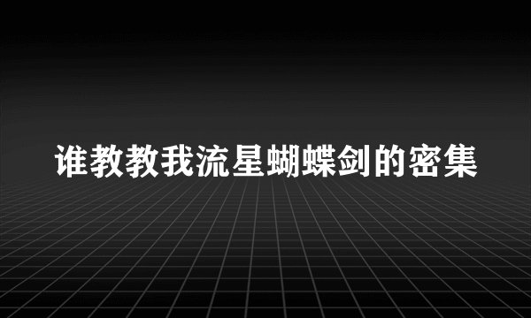 谁教教我流星蝴蝶剑的密集