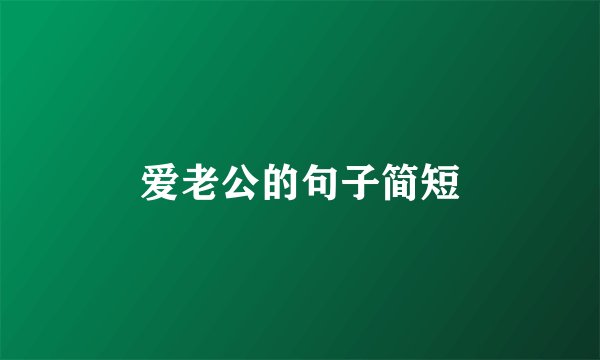 爱老公的句子简短