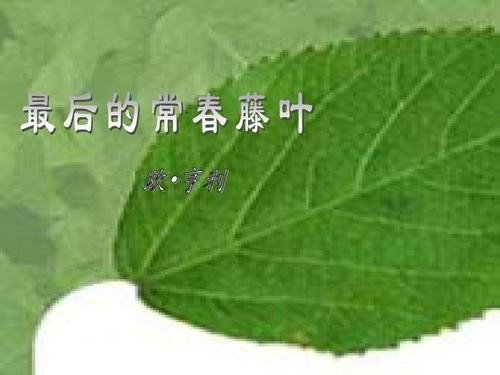 最后的常春藤叶中心思想
