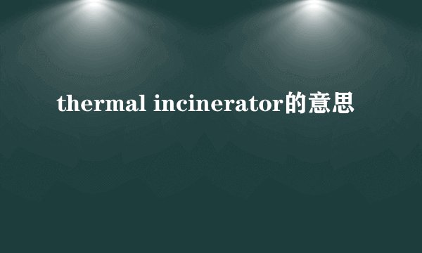 thermal incinerator的意思