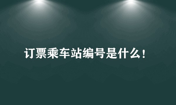 订票乘车站编号是什么！