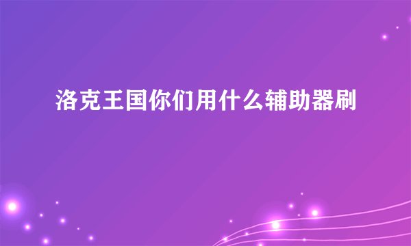 洛克王国你们用什么辅助器刷