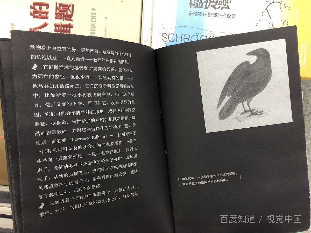 有什么好的书籍推荐一下