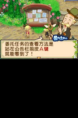 牧场物语双子村结婚候补喜好
