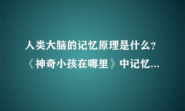 人类大脑的记忆原理是什么？《神奇小孩在哪里》中记忆神童徐非凡，为何能记得住自己婴儿时期发生的事情？