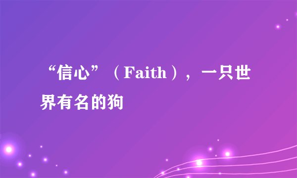 “信心”（Faith），一只世界有名的狗