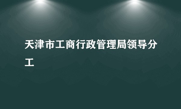 天津市工商行政管理局领导分工