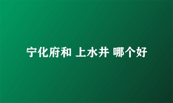 宁化府和 上水井 哪个好