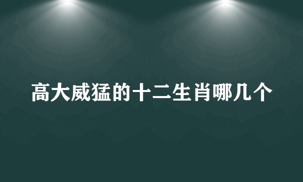 高大威猛的十二生肖哪几个