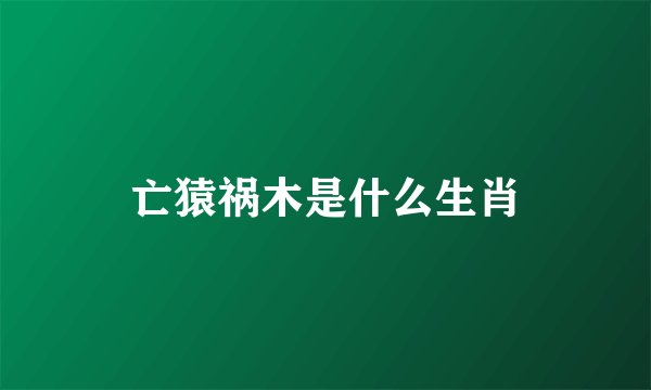 亡猿祸木是什么生肖