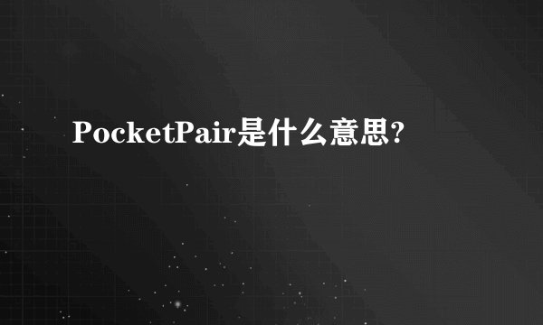 PocketPair是什么意思?