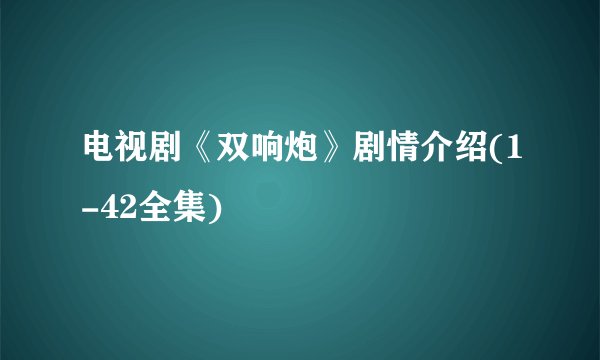 电视剧《双响炮》剧情介绍(1-42全集)