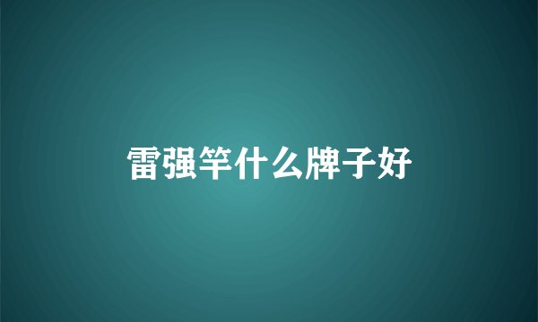 雷强竿什么牌子好