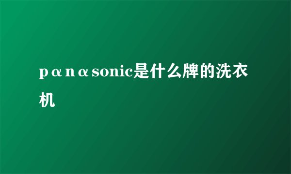pαnαsonic是什么牌的洗衣机