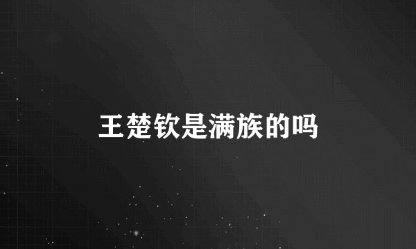 王楚钦是满族的吗