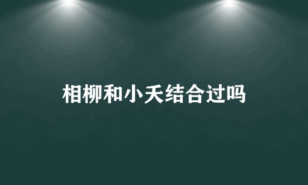 相柳和小夭结合过吗