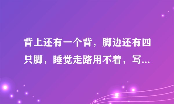 背上还有一个背，脚边还有四只脚，睡觉走路用不着，写字画画要它帮（打一动物）谜底及原因