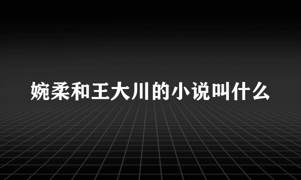 婉柔和王大川的小说叫什么