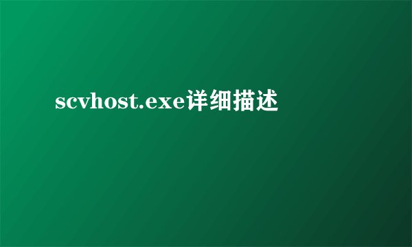 scvhost.exe详细描述