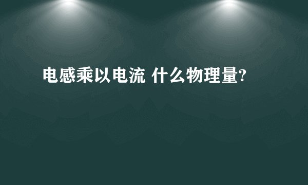电感乘以电流 什么物理量?