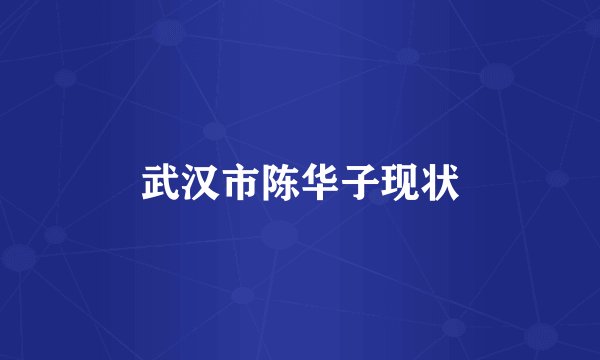 武汉市陈华子现状