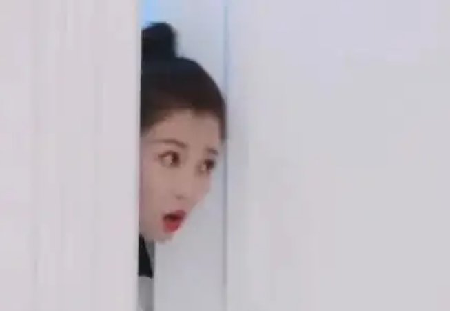 探头探脑的意思