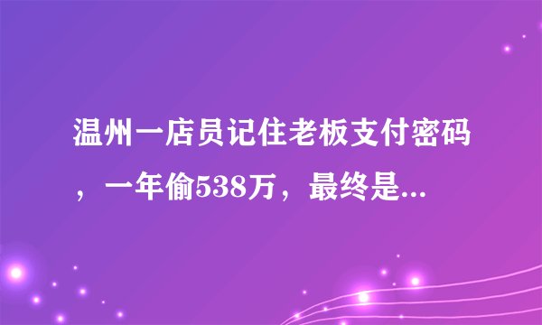 温州一店员记住老板支付密码，一年偷538万，最终是如何被发现的？