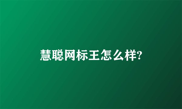 慧聪网标王怎么样?