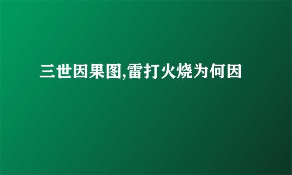 三世因果图,雷打火烧为何因