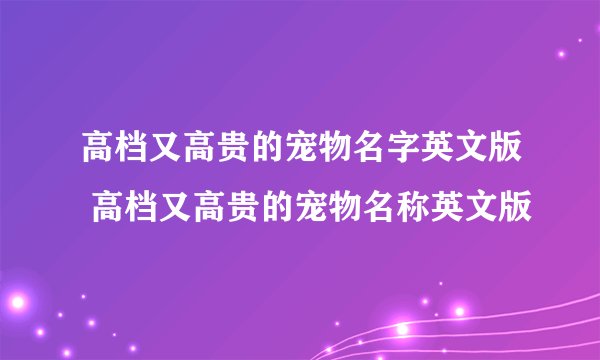 高档又高贵的宠物名字英文版 高档又高贵的宠物名称英文版