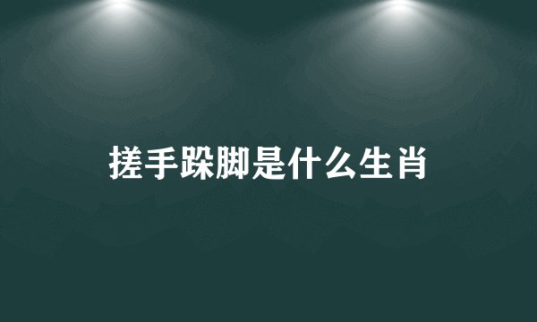 搓手跺脚是什么生肖
