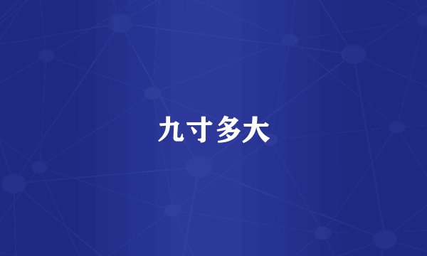 九寸多大