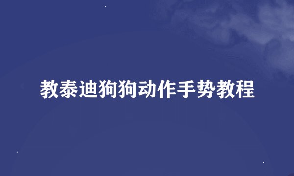 教泰迪狗狗动作手势教程